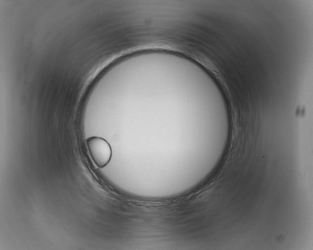 X0000113910436200909241309