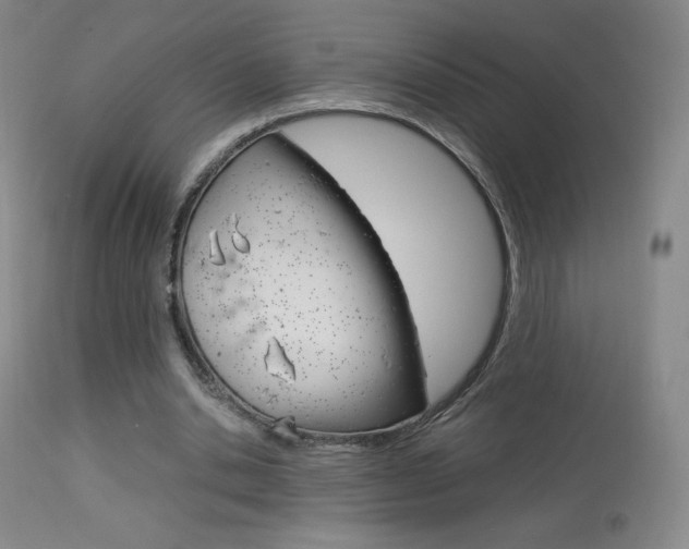 X0000113910438200909241309
