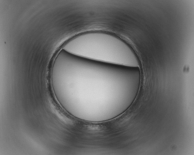 X0000113910439200909241309