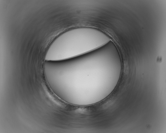 X0000113910441200909241309