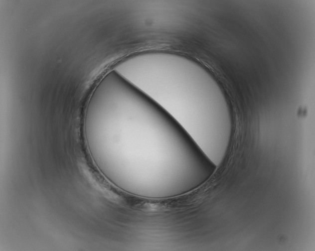 X0000113910442200909241309