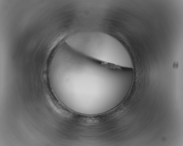 X0000113910443200909241309