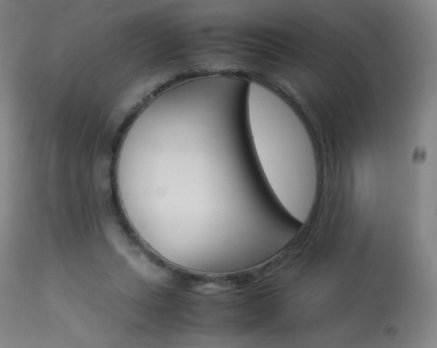 X0000113910447200909241309
