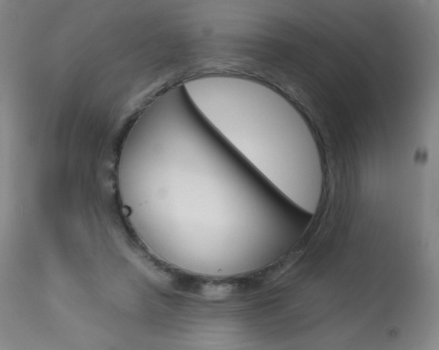 X0000113910450200909241309
