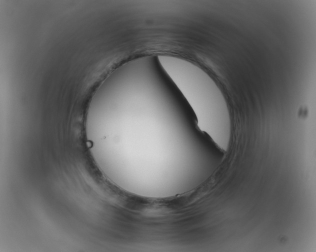 X0000113910451200909241309