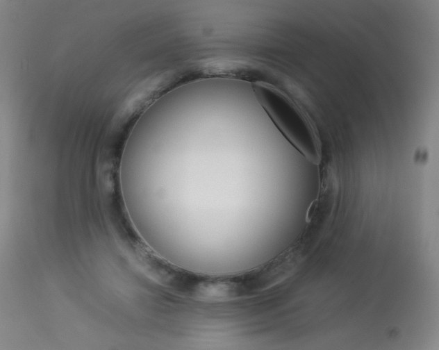 X0000113910452200909241309