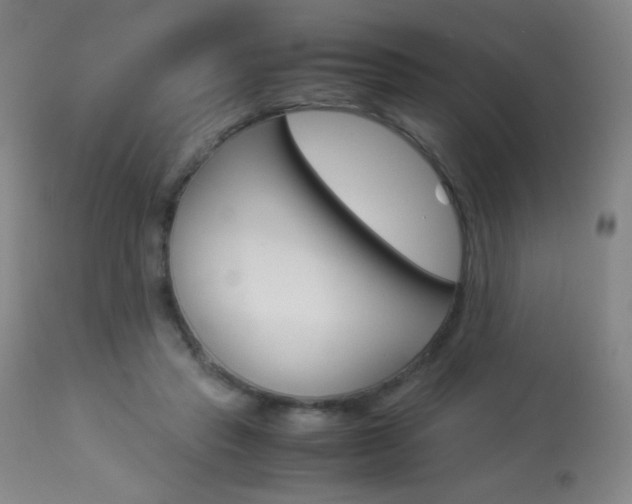 X0000113910453200909241309