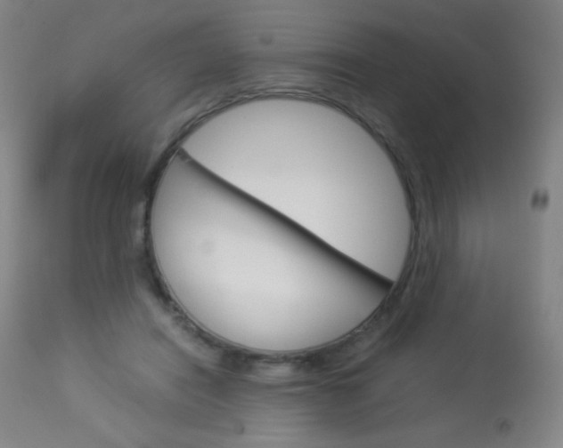 X0000113910454200909241309