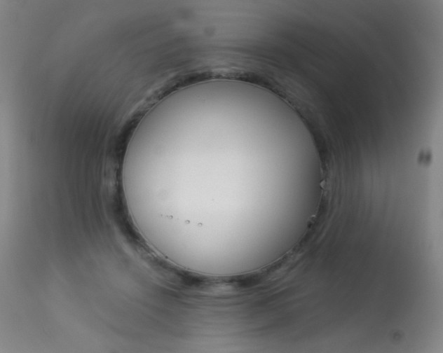 X0000113910456200909241309