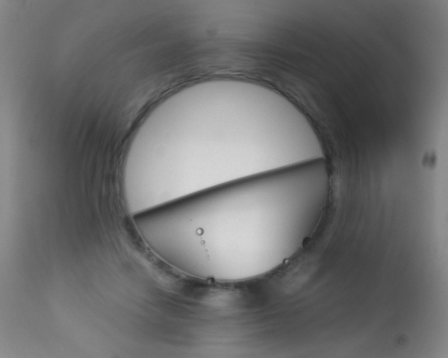 X0000113910458200909241309