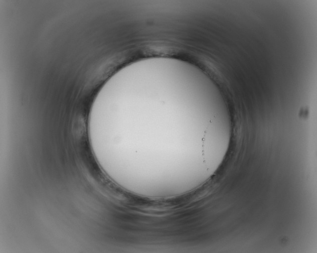 X0000113910459200909241309
