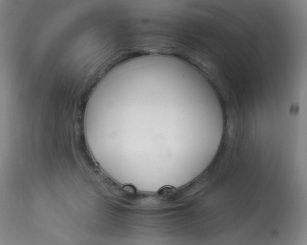 X0000113910461200909241310