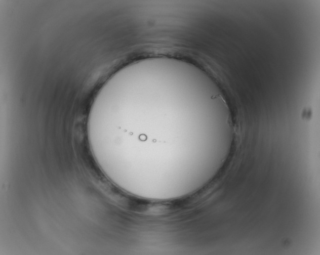 X0000113910462200909241310