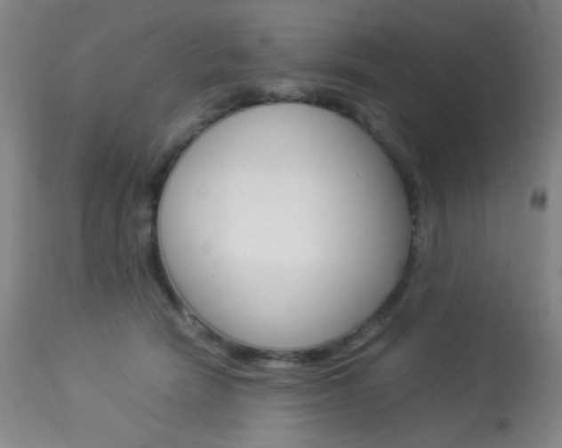 X0000113910466200909241310