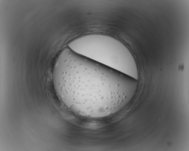 X0000113910467200909241310