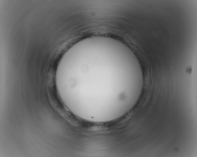 X0000113910468200909241310