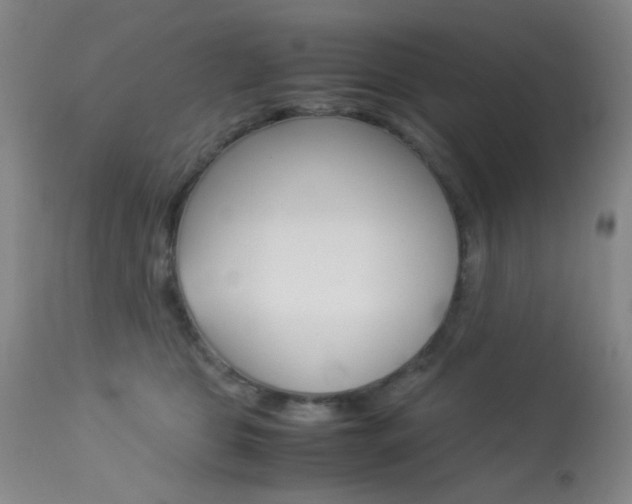 X0000113910469200909241310