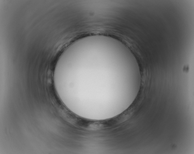 X0000113910470200909241310