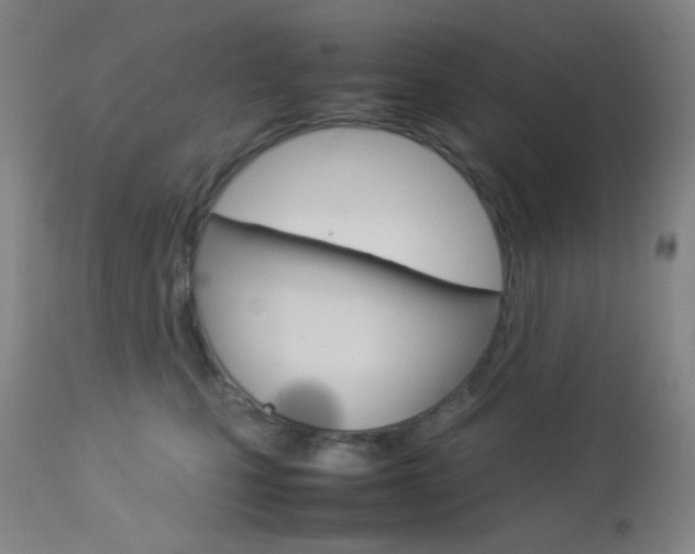 X0000113910471200909241310