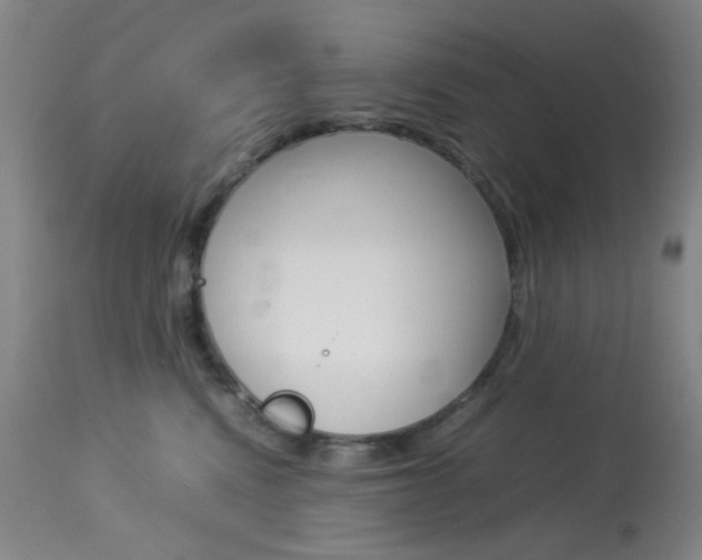 X0000113910472200909241310
