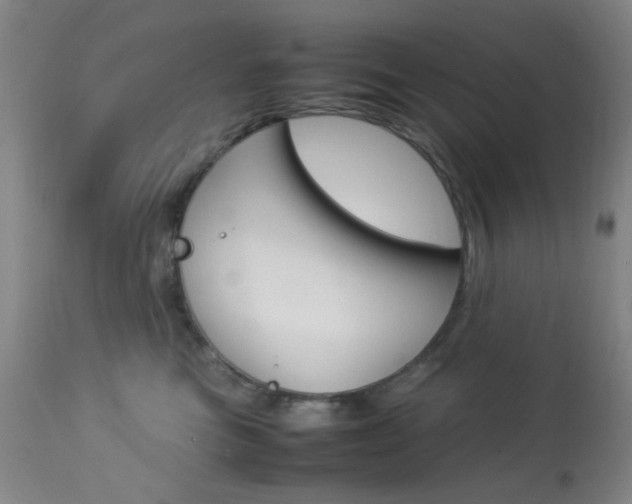 X0000113910473200909241310