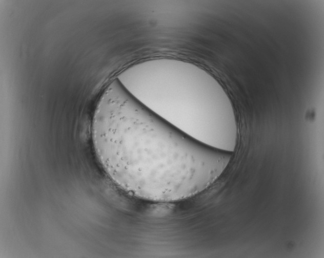 X0000113910474200909241310