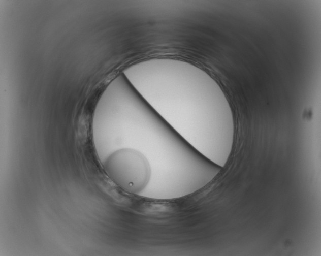 X0000113910475200909241310