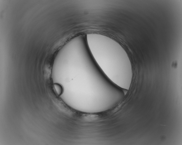 X0000113910476200909241310