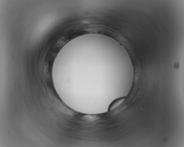 X0000113910477200909241310