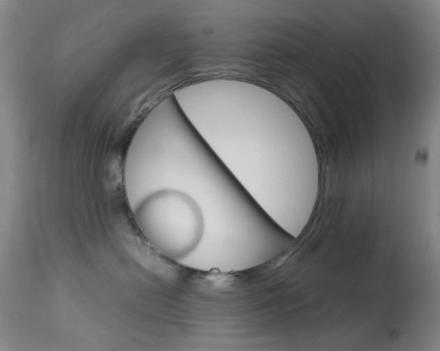 X0000113910478200909241310