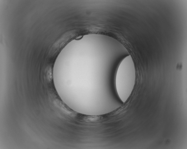X0000113910479200909241310