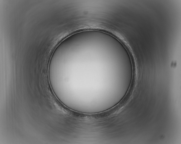 X0000113910481200909241309