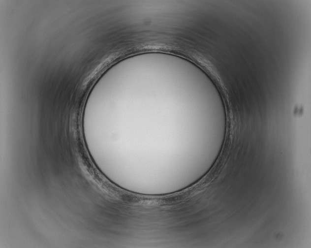X0000113910482200909241309