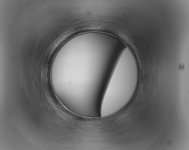 X0000113910483200909241309