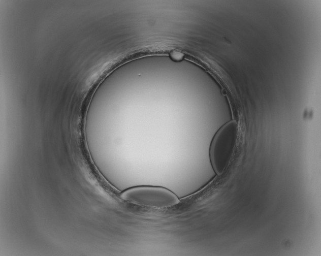 X0000113910485200909241309