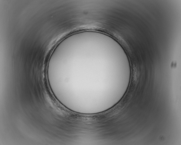 X0000113910486200909241309