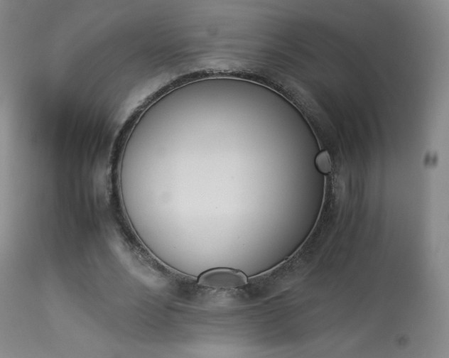 X0000113910488200909241309