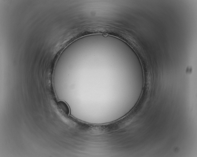 X0000113910489200909241309