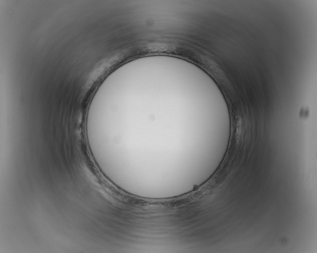 X0000113910490200909241309