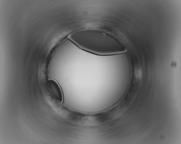 X0000113910492200909241309