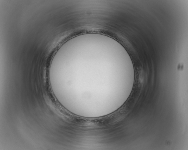 X0000113910494200909241309