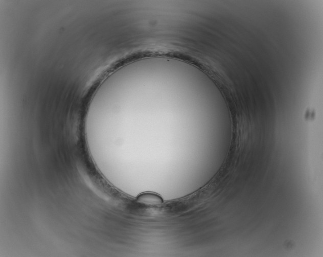 X0000113910496200909241309