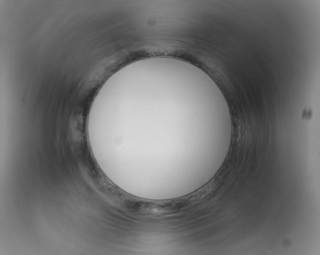 X0000113910498200909241309