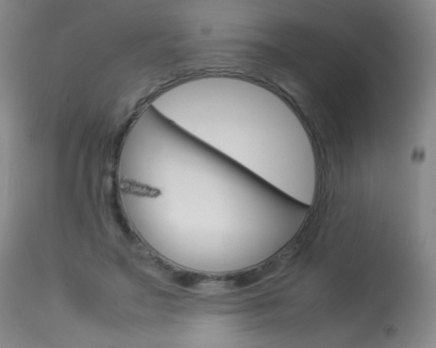 X0000113910499200909241309