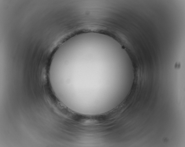 X0000113910500200909241309