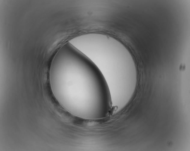 X0000113910501200909241309