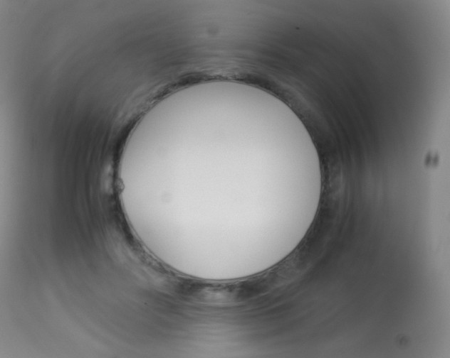 X0000113910502200909241309