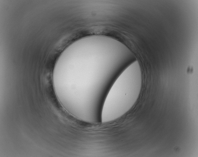 X0000113910503200909241309