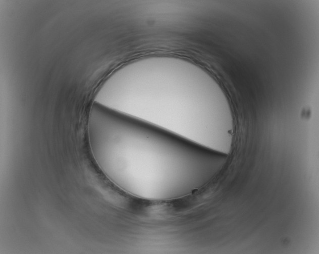 X0000113910505200909241309
