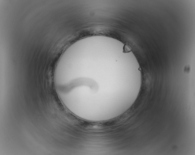 X0000113910506200909241309